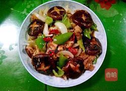 香菇圆葱烧肉片的做法图解10