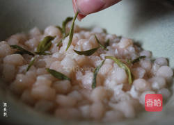 碧螺虾仁的做法图解10