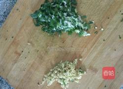 彩色荠菜饺子的做法图解15
