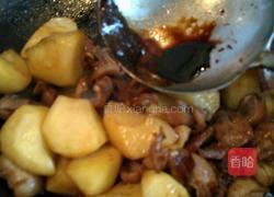 红烧鸡珍土豆块的做法图解9