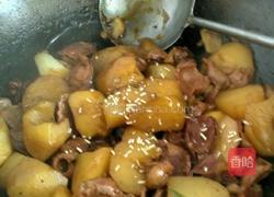红烧鸡珍土豆块的做法图解11