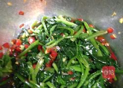 姜汁菠菜的做法图解7