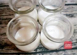 休闲双皮奶的做法图解2