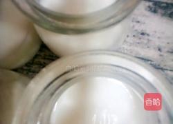 休闲双皮奶的做法图解6
