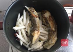 萝卜丝红枣煲鲫鱼的做法图解3