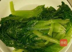 耗油芥菜的做法图解3