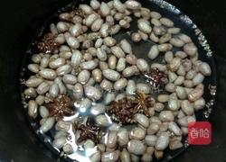 煮五香花生米的做法图解5