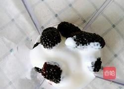 桑椹酸奶的做法图解3