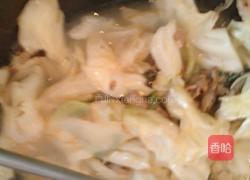 白菜猪肉炖粉条的做法图解6