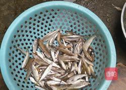 香煎小杂鱼的做法图解1