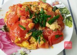 家常西红柿炒鸡蛋的做法图解5