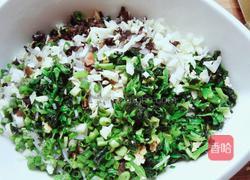 杂蔬鸡蛋馅饺子的做法图解8