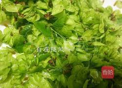 蒸榆钱儿的做法图解1