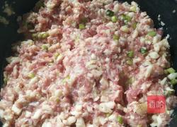 腐皮肉丸的做法图解3