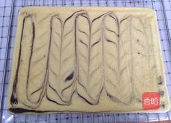 可可旋风蛋糕卷的做法图解21