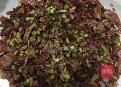 香椿煎蛋的做法图解2