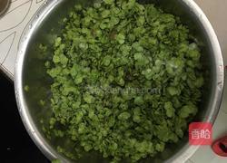 蒸榆钱的做法图解3