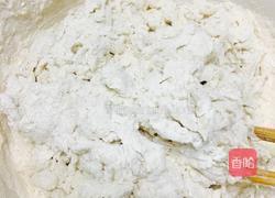 胡萝卜肉包子的做法图解3