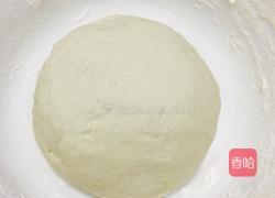 胡萝卜肉包子的做法图解4