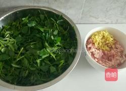 饺子……苜蓿猪肉馅的做法图解2