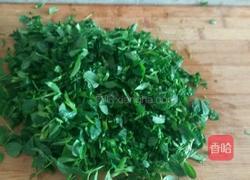 苜蓿猪肉饺子馅的做法图解4