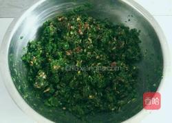 苜蓿猪肉饺子馅的做法图解7