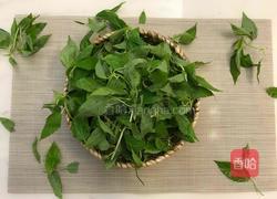 潮汕炒麻叶的做法图解1