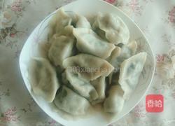 饺子……苜蓿猪肉馅的做法图解15