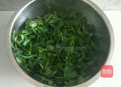 凉拌苜蓿的做法图解1
