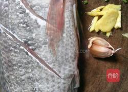 香煎罗非鱼的做法图解1