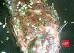 香煎罗非鱼的做法图解6