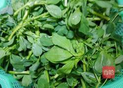 苜蓿蒸菜的做法图解1