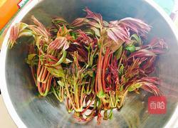 香椿炒鸡蛋的做法图解1
