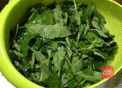 枸杞叶鸡丝粥的做法图解3