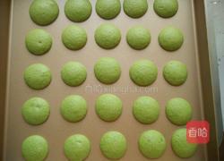 菠菜泥迷你小蛋糕的做法图解15