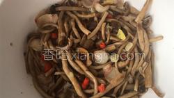 干锅茶树菇的做法图解13