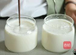 酸奶也可这样吃‖花式酸奶的做法图解4