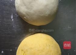 双色玫瑰花的做法图解5