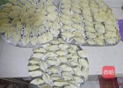 苜蓿大肉饺子的做法图解4