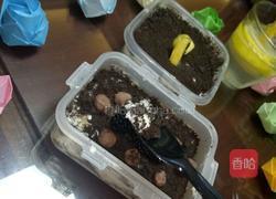 提拉米苏（瘦身版）的做法图解15