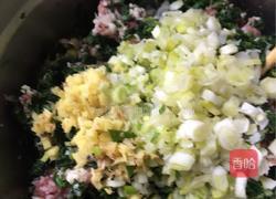 荠荠菜饺子的做法图解5