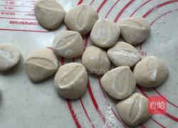 荠荠菜饺子的做法图解12