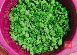 粉蒸榆钱的做法图解2