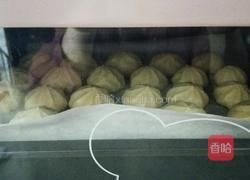 奶油泡芙的做法图解6