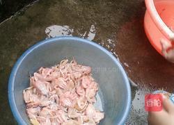 炒青蛙的做法图解2