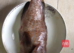 蒸石斑鱼的做法图解1