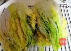 韩式辣白菜的做法图解4
