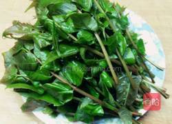 凉拌香椿的做法图解1