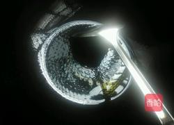 五香素鸡的做法图解7