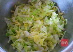 卷心菜拌粉丝的做法图解6
